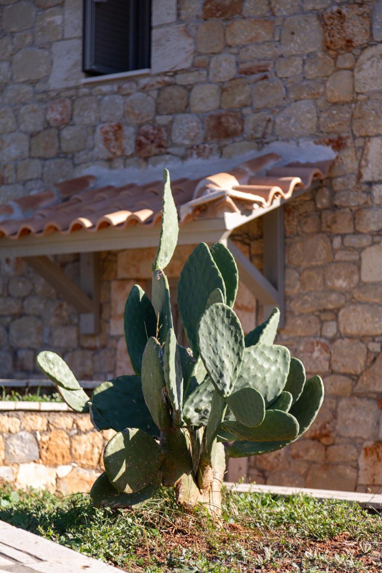 Gea Mani Villas Agios Nikolaos  Buitenkant foto